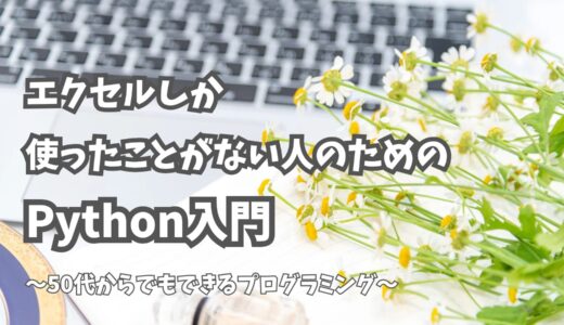 エクセルしか使ったことがない人のためのPython入門：50代から始めるプログラミング